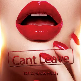 Can't Leave by Wash