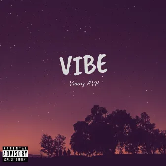 Vibe by Young AYP