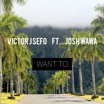 Want To by Josh Wawa