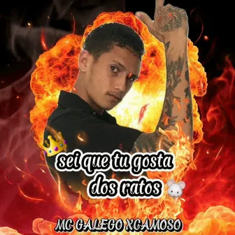 Sei Que Tu Gosta dos Ratos by MC Galego Xcamoso