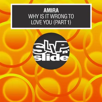 Why Is It Wrong To Love You by AMIRA