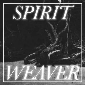 Spirit Weaver by Cavum