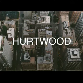 Hurtwood by David Jones