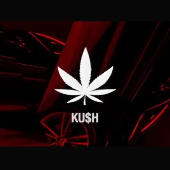 Ohne Promophase by Kush