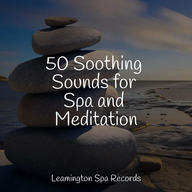 50 Soothing Sounds for Spa and Meditation