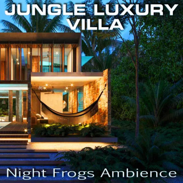 Ambience of Night Luxury Villa