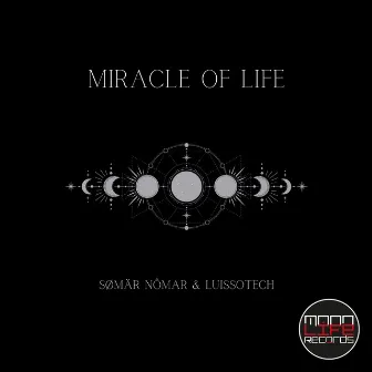 Miracle of Life by Somar Nomar