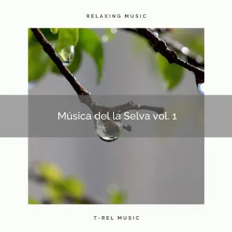 1 Música de la Selva vol. 1 by Pajaritos Cantando