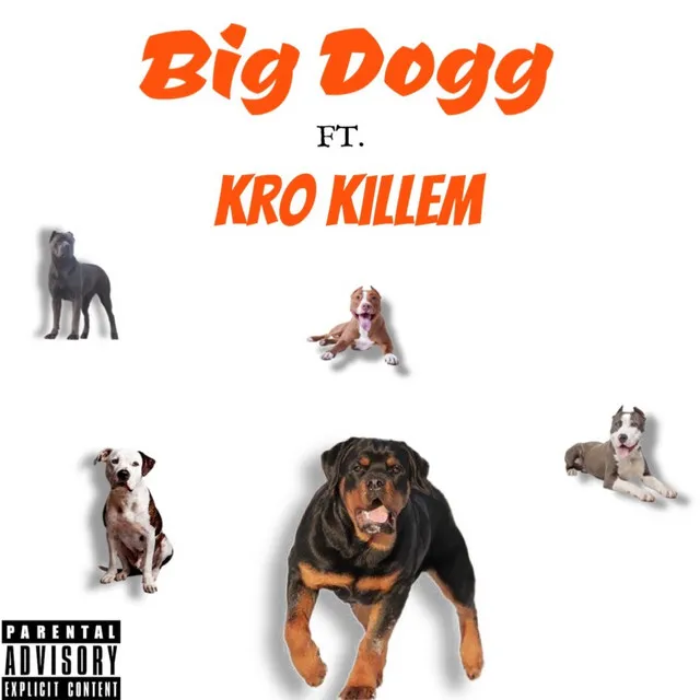 Big Dogg