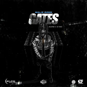 Gates by Eclipse