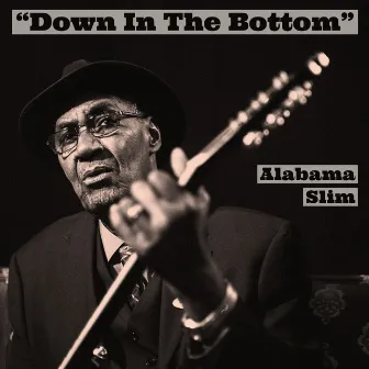 Down in the Bottom by Alabama Slim