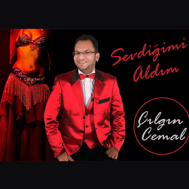 Sevdiğimi Aldım - Roman