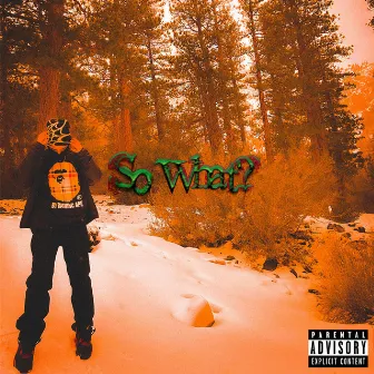 So What? by LiltShawty