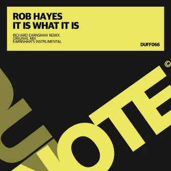 It Is What It Is by Rob Hayes