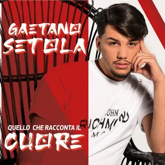 Quello che racconta il cuore by Gaetano Setola