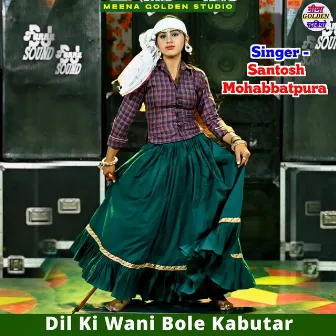 Dil Ki Wani Bole Kabutar by Santosh Mohabbatpura