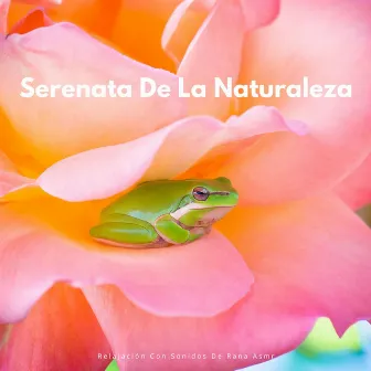 Serenata De La Naturaleza: Relajación Con Sonidos De Rana ASMR by ASMR Anónimo