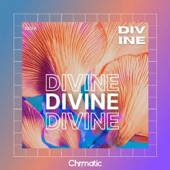 Divine by Buza