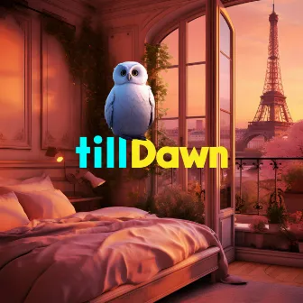 Paris Bird by tillDawn