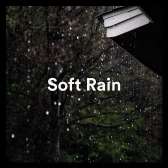 Soft Rain by Soft Soundscapes