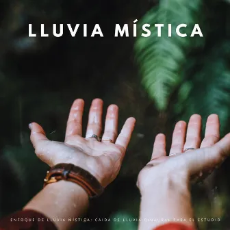 Enfoque De Lluvia Mística: Caida De Lluvia Binaural Para El Estudio by Lluvia en el Bosque