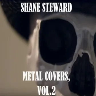 Metal Covers, Vol. 2 by Shane Steward