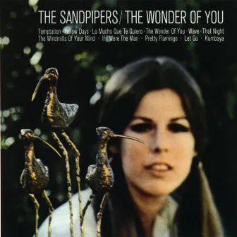 The Wonder Of You by The Sandpipers