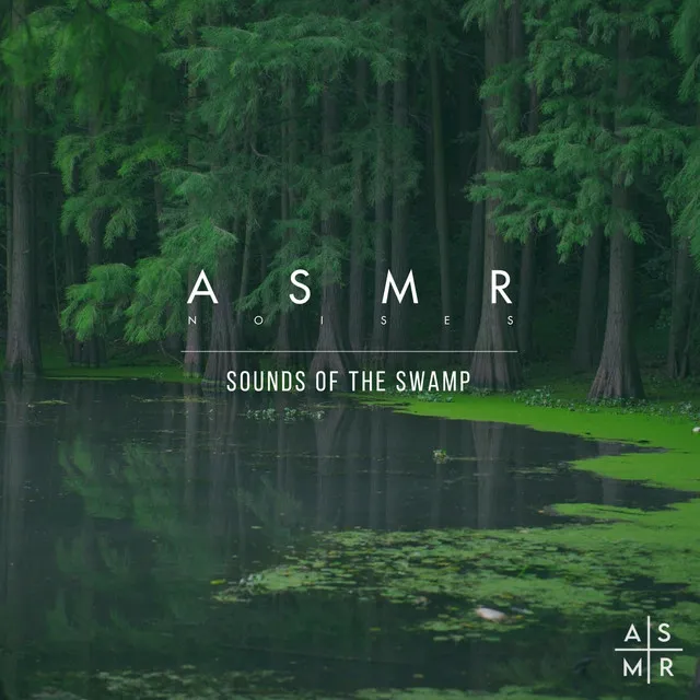 Sounds Of The Swamp