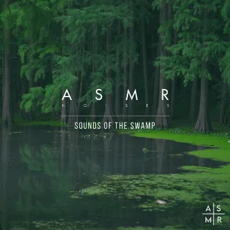 Sounds Of The Swamp by ASMR Noises