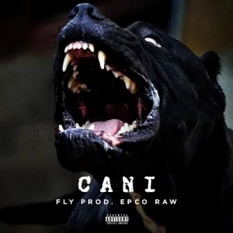 Cani by FLY