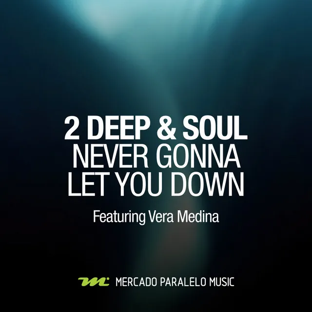 Never Gonna Let You Down - Nilton Fatore Remix