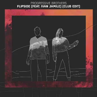 Flipside (Club Edit) by Progressive Brothers