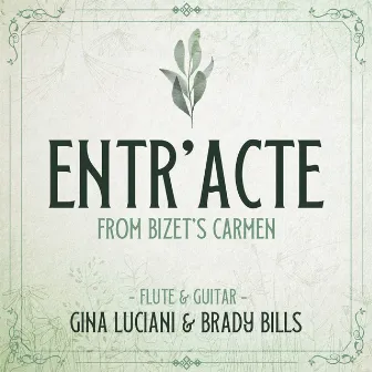 Carmen: Act III, Entr'acte by Brady Bills