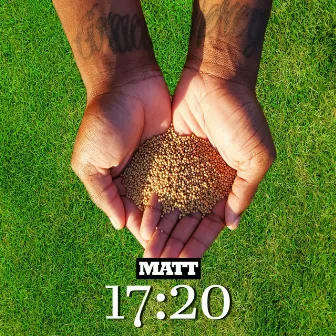 Matt 17:20 by Feen