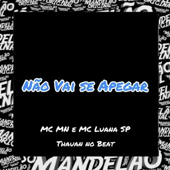 Não Vai Se Apegar by MC Luana SP