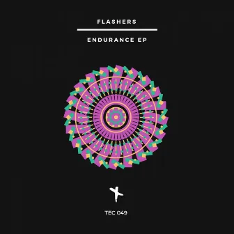 Endurance EP by Flashers