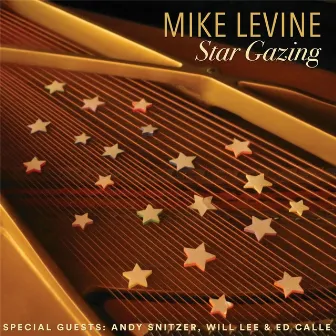 Star Gazing by Mike Levine