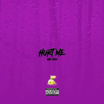 Hurt Me by Nate Chapo