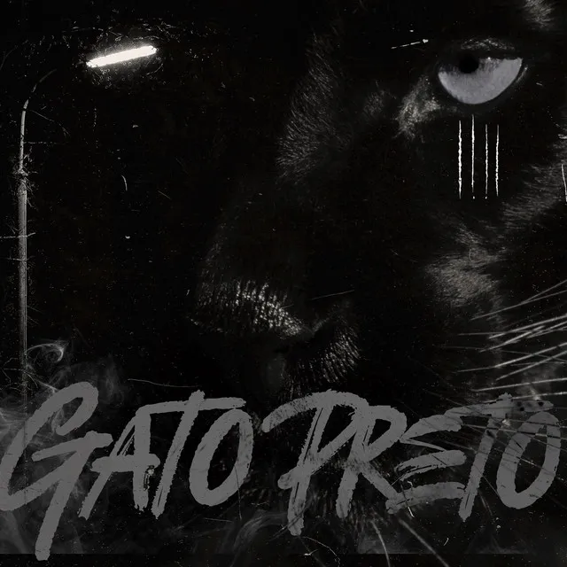 GATO PRETO