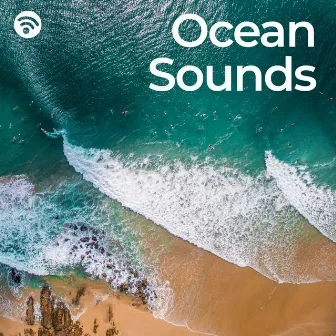 Ocean Sounds by Elite Water Sounds