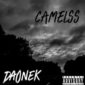 Camelss by Daonek