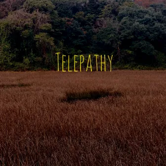 Telepathy by J.Yung