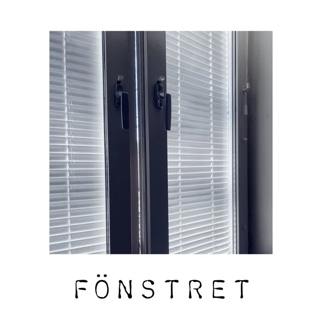 Fönstret