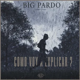 COMO VOY A EXPLICAR? by Big Pardo