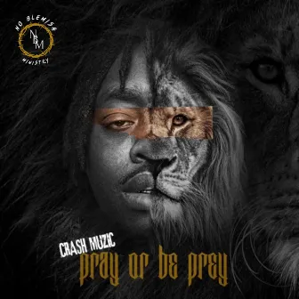 Pray Or Be Prey by Crash muzic