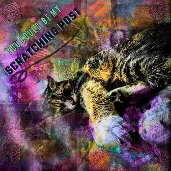 You Could Be My Scratching Post by Mike Pacca