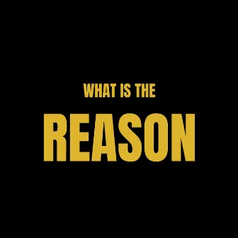 What is the reason by Wizi Lofi