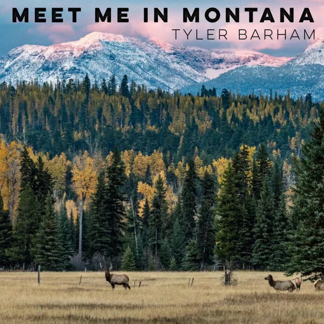 Meet Me In Montana