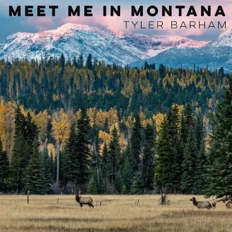 Meet Me In Montana by Tyler Barham