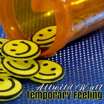 Temporary Feeling by Allwild Walt